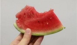 最近互联网吃瓜,盘点近期热门事件背后的真相与笑料