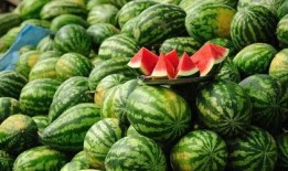 免费吃瓜,揭秘娱乐圈幕后故事