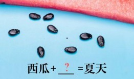 小北吃瓜全文,揭秘娱乐圈背后的那些事儿