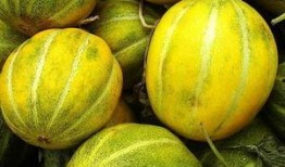 吃瓜讲的是真是假,是真是假，一探究竟