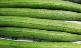 什么瓜没虫吃,揭秘自然界的奇妙生态平衡