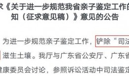 网友吃瓜亲子鉴定,网友吃瓜背后的真相揭秘