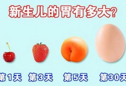 满月可以吃土瓜,土瓜美食之旅