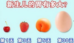 满月可以吃土瓜,土瓜美食之旅