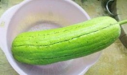 水瓜要削皮吃吗,是否需要削皮？