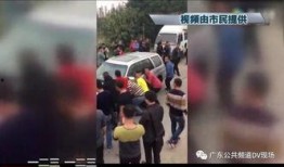 顺德吃瓜新闻视频回放,一场引人入胜的社区事件回顾