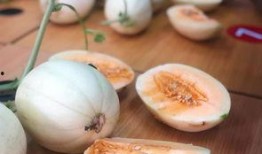 椒江方远吃瓜,揭秘吃瓜群众的狂欢盛宴