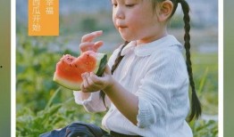 梦见瓜地里吃西瓜,瓜地西瓜盛宴，揭秘梦境中的甜蜜诱惑