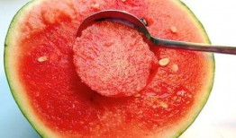 吃瓜勺子图片,揭秘夏日消暑神器背后的故事