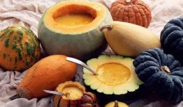 金刚功吃瓜饮食,揭秘吃瓜饮食的养生奥秘