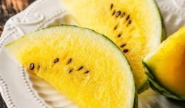 莘塍吃瓜,揭秘当地特色美食背后的故事