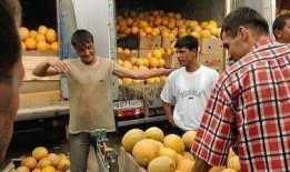 作 者 吃瓜人,揭秘娱乐圈背后的故事