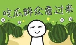暑假吃瓜图