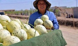 乌克兰吃瓜群众视频下载,揭秘日常生活瞬间