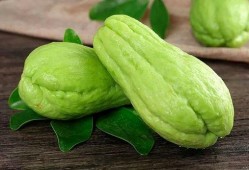 金刚功吃瓜饮食,揭秘吃瓜饮食的养生奥秘