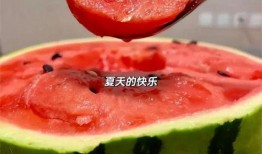 冷日吃瓜,冷日吃瓜，清凉一夏的惬意时光