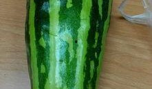 吃瓜你吃什么瓜,揭秘各式瓜果的美食之旅