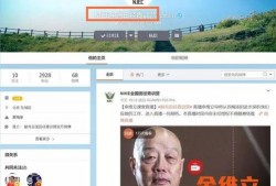 顺德吃瓜新闻视频回放,一场引人入胜的社区事件回顾