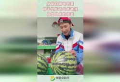 爸爸给我挑瓜吃,共享甜蜜瓜果时光