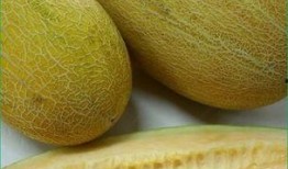 哈密瓜吃长胖吗