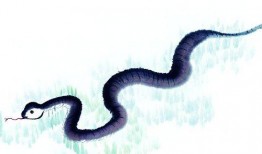 耍蛇人吃瓜,揭秘民间传奇背后的真实故事