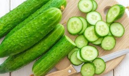 朝阳花园吃瓜,一场吃瓜盛宴背后的故事