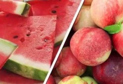 1118蛆虫吃瓜,蛆虫狂欢，瓜果盛宴