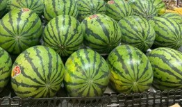 在网上吃瓜图片,揭秘热门吃瓜图片背后的故事