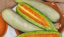 吃瓜熊海龙,揭秘网络红人的崛起之路