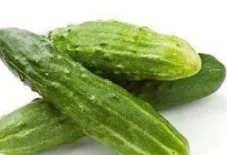 吃黄河蜜瓜多久排尿,揭秘食用时间与身体反应