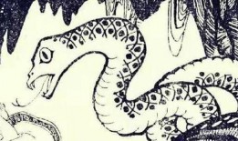 耍蛇人吃瓜,揭秘民间传奇背后的真实故事