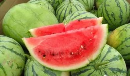 日留吃瓜,揭秘娱乐圈背后的那些事儿