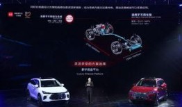 大比亚迪吃瓜视频,一场娱乐与真相的较量