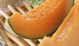 我在吃瓜哈密瓜的瓜,揭秘哈密瓜的“吃瓜”奥秘