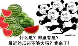 快乐吃瓜人,畅享人生美好时光