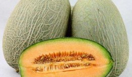 中医吃哈密瓜,中医视角下的清凉甘甜