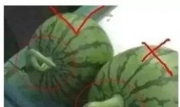 qq群吃颜色瓜,一场别开生面的网络趣味盛宴