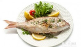 吃活八瓜鱼韩国,探寻吃活八瓜鱼的独特风味