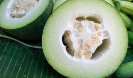 在网上吃瓜图片,揭秘热门吃瓜图片背后的故事