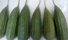 谁在吃瓜,谁在暗中吃瓜，揭秘明星幕后故事