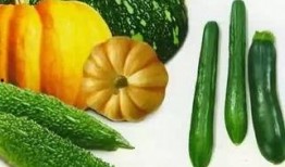 李萧吃瓜,揭秘娱乐圈幕后故事