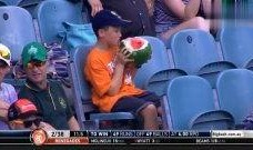 吃瓜解说员,吃瓜解说员带你领略娱乐圈风云变幻