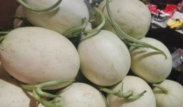 相逢时节吃瓜,一场别开生面的夏日盛宴