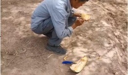 伽师最新吃瓜视频,幕后真相大曝光！