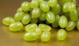 提子视频吃瓜视频,揭秘网络娱乐的甜蜜与辛辣