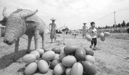 焦作武陟吃瓜事件,一场网络热议背后的真相与反思