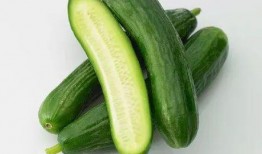 早晨可以吃小乳瓜吗,小乳瓜，早餐新选择