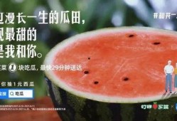 畅游在瓜田里吃瓜,尽享夏日甜蜜时光