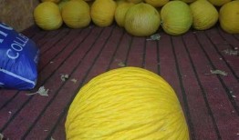 圆形黄色瓜怎么吃,圆形黄色瓜的多样食用指南