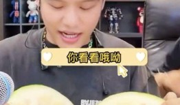 大杨小杨吃瓜,大杨小杨瓜田奇遇记